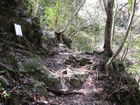 20140419hike (63)
